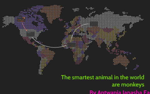 The smartest animal in the world are monkeys by Antwania Eaddy