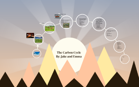 The Carbon Cycle by Jake Reagan on Prezi