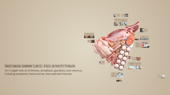 Key Pathagons Understanding Foodborne Illnesses: A Focus on Four Key Pathogens by ...