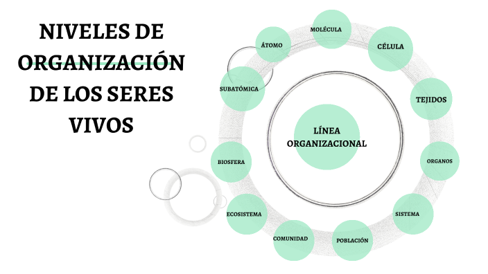 NIVELES DE LA MATERIA VIVA by Carlos Argelio Ruiz Perez on Prezi
