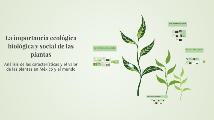 La importancia ecológica biológica y social de las plantas by Pepito Peres on Prezi