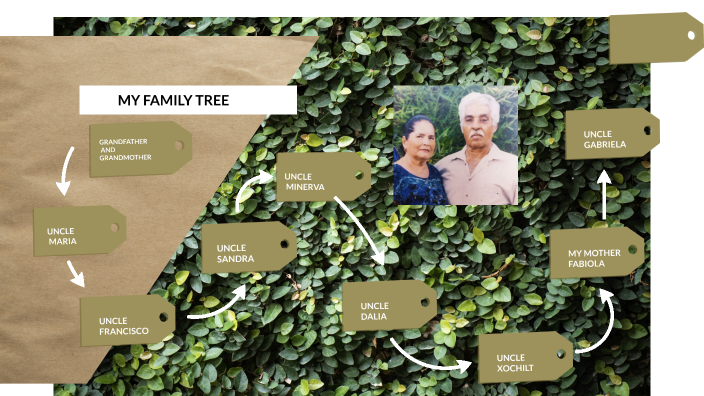 MY FAMILY TREE by Gustavo Silva on Prezi