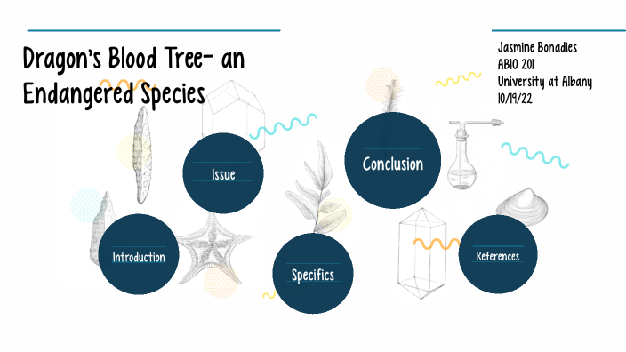 Dragons Blood Tree by Jasmine Bonadies on Prezi