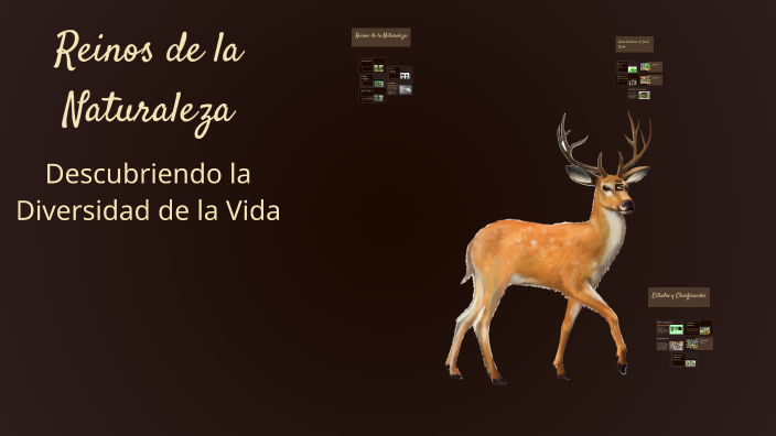 Reinos de la Naturaleza by oscar de leon on Prezi