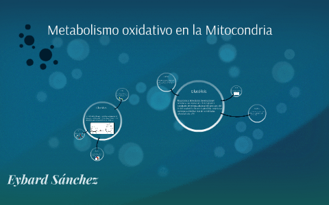 Metabolismo oxidativo en la Mitocondria by eybard sanchez on Prezi