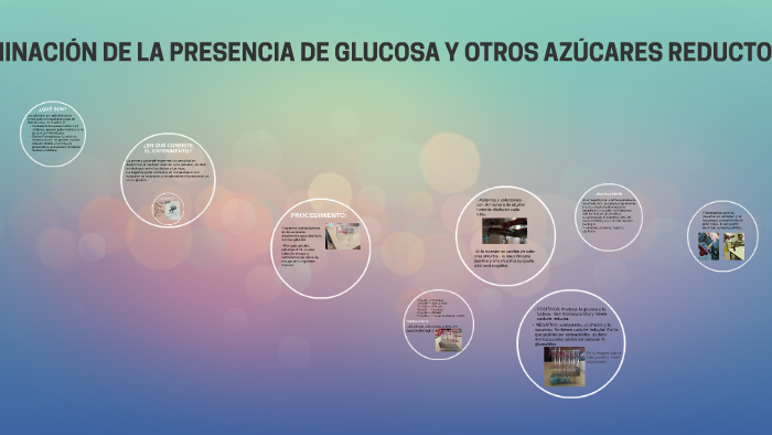 DeterminaciÓn De La Presencia De Glucosa Y Otros AzÚcares Re By Proyecto Laboratorio On Prezi 0007