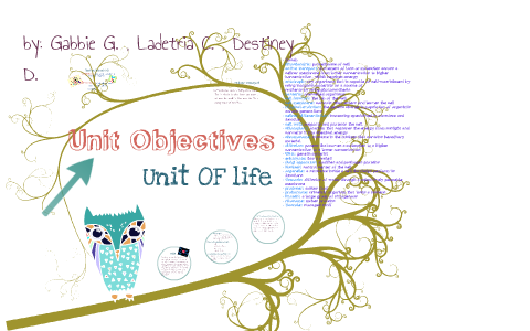 unit of objectives by DESTINEY davis on Prezi