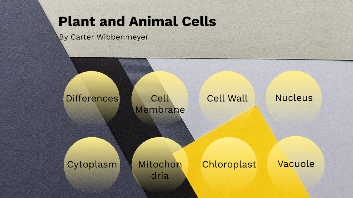 Plant and Animal Cells Prezi - Carter Wibbenmeyer by Carter Wibbenmeyer ...