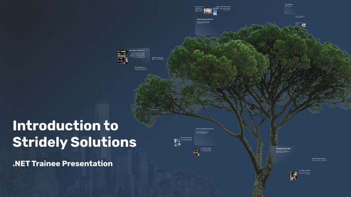 Introduction to Stridely Solutions by Pankaj Patil on Prezi