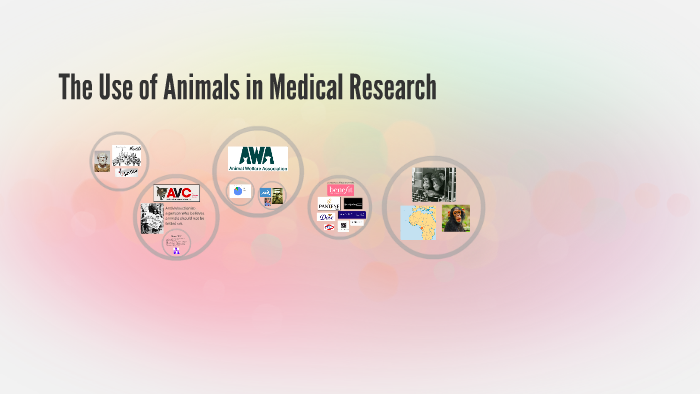 use of animals in medical research