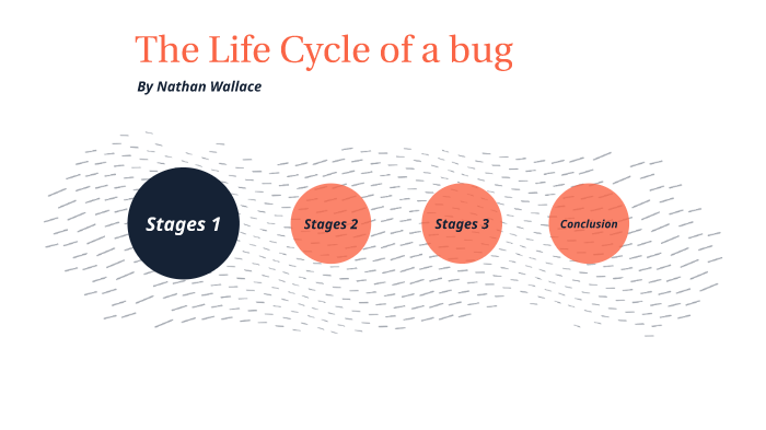Life cycle of a bug by NATHAN WALLACE on Prezi