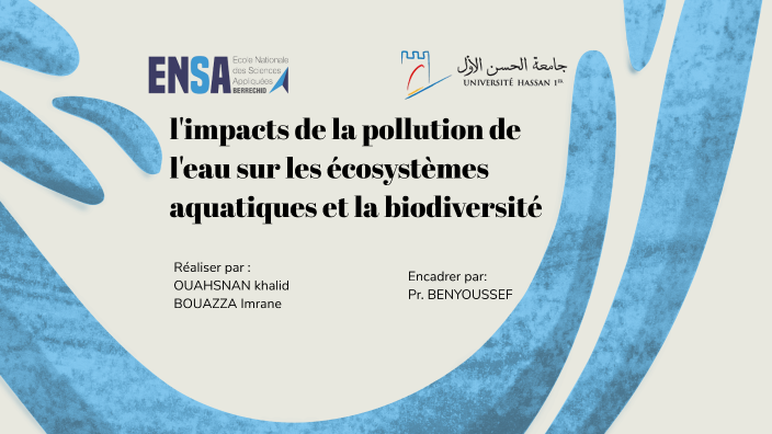 l'impacts de la pollution de l'eau sur les écosystèmes aquatiques et la