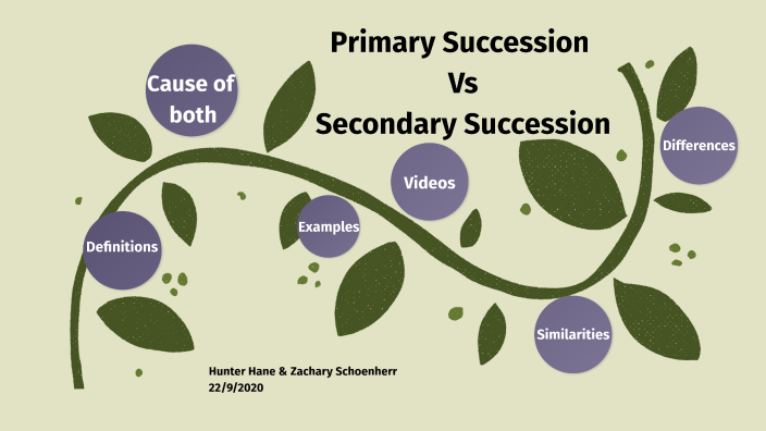 what does primary and secondary succession have in common