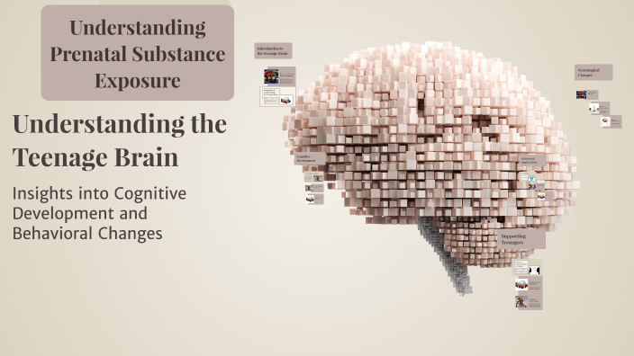 Understanding the Teenage Brain by PATRICIA PEREZ on Prezi