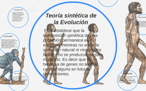 Teoria sintetica de la Evolucion by lorens paez