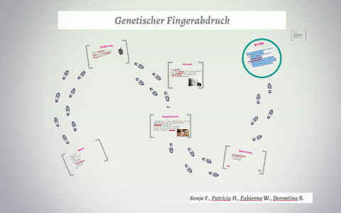 Genetischer Fingerabdruck By Dorontina Bajramaj On Prezi