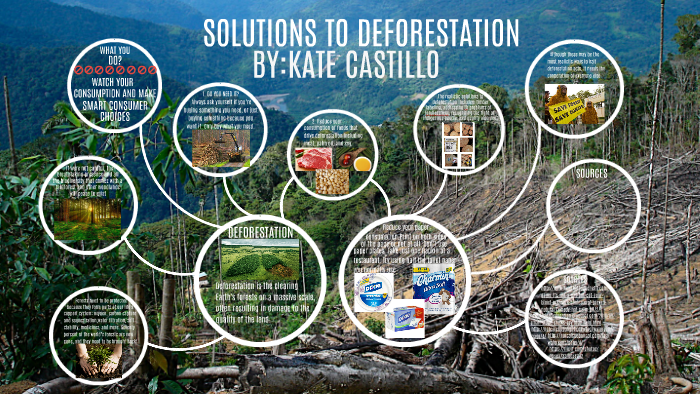 Deforestation Solutions