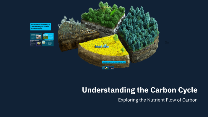 Understanding the Carbon Cycle by evelyn Ponitkoff on Prezi
