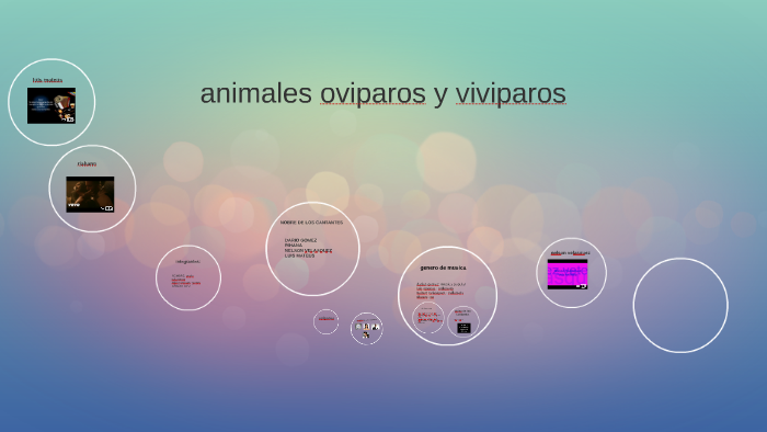 mi proyecto de vida by evelyn alexandra velasquez arboleda on Prezi