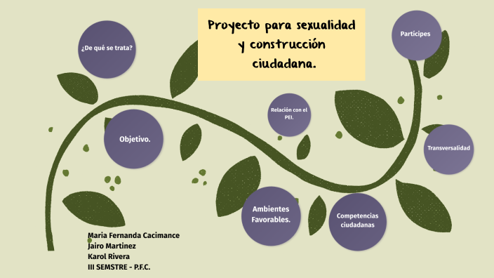 Proyecto Para La Sexualidad Y ConstrucciÓn Ciudadana By Karol Rivera On