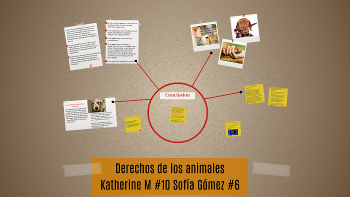 Derechos de los animales by katherine martinez palacios on Prezi