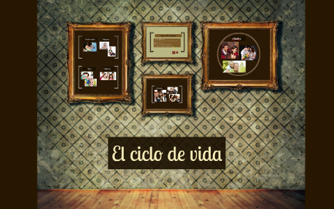 El Ciclo De Vida By Rocio Paredes El Ciclo De Vida By Rocio Paredes