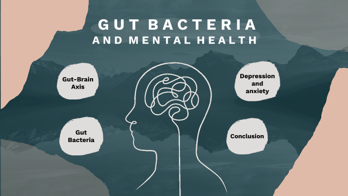 Gut Bacteria And Mental Health By Mylène Bérubé On Prezi