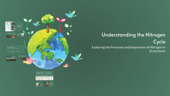 Understanding the Nitrogen Cycle by hamza rehman on Prezi
