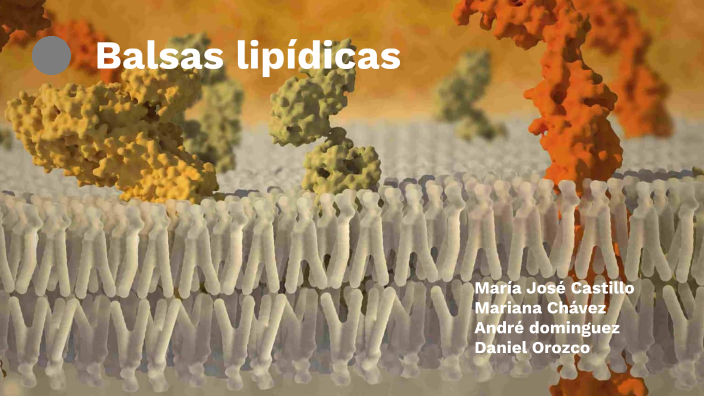 Balsas lipídicas by María Castillo Rodriguez on Prezi Next