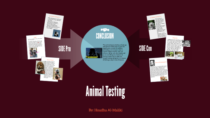 Animal testing by Houdha A. on Prezi