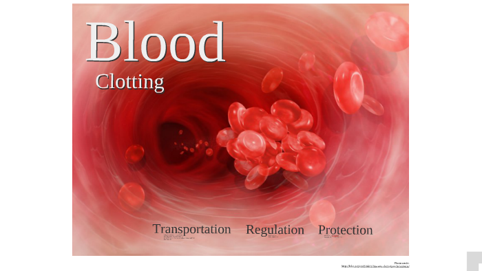 4) Cardiovascular System: Blood - Blood Clotting by Brandon Poe on Prezi