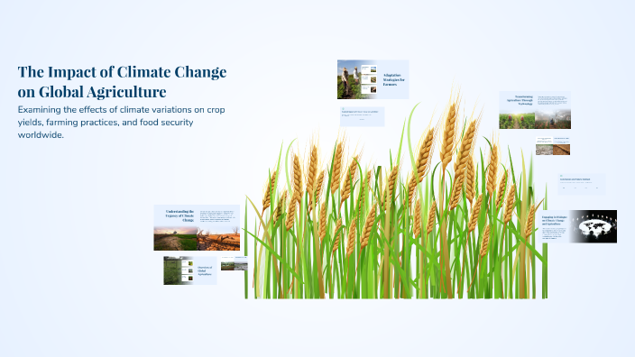 The Impact of Climate Change on Global Agriculture by MM M on Prezi