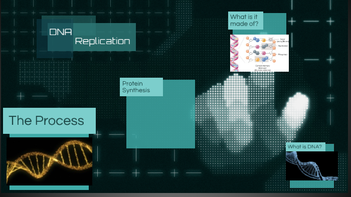 DNA Replication by Caleb Kessling on Prezi