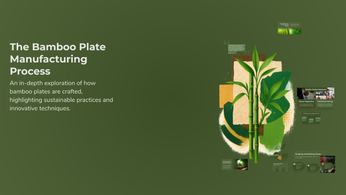 The Bamboo Plate Manufacturing Process by Janki Chavda on Prezi