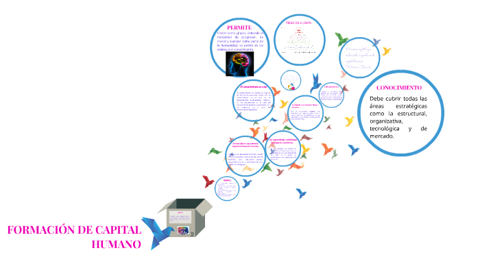 FORMACIÓN DE CAPITAL HUMANO by Yudy Daniela on Prezi