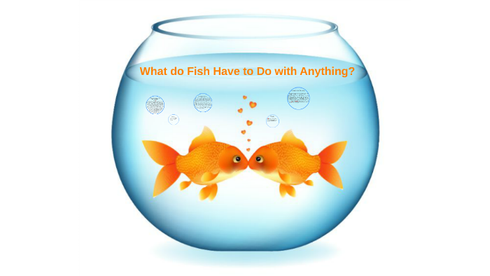 What Do Fish Have to Do with Anything?: And Other Stories/CANDLEWICK BOOKS/Avi Sign in a small diner- what do fish have to do with lying? : r