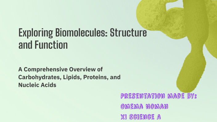 Exploring Biomolecules: Structure and Function by Omema Noman on Prezi