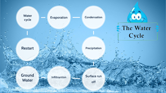 water cycle by Emily WADE on Prezi