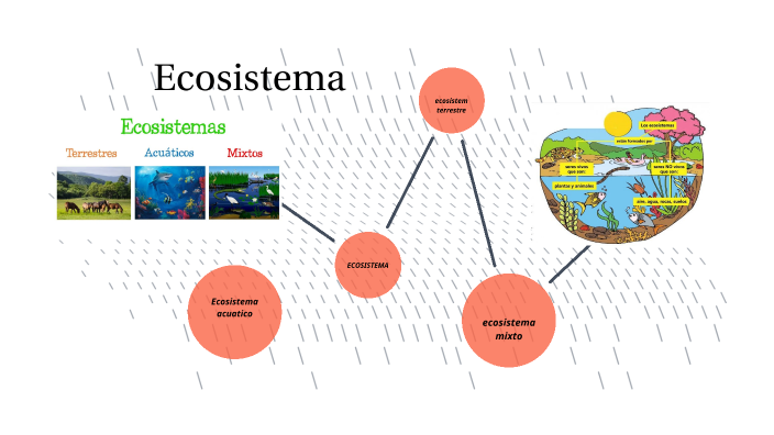 Ecosistema by Mayra Espinoza on Prezi