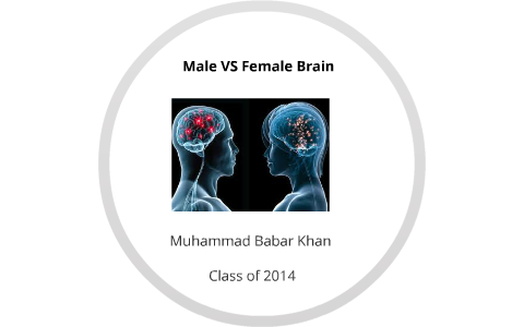 The Difference between Male and Female Brain by jason bourne on Prezi