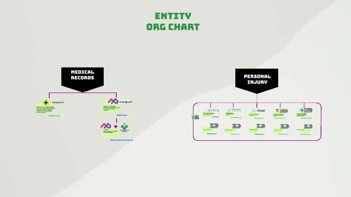 Entity org chart by Gerardo Torres on Prezi