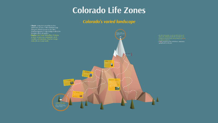 Learning Zone — Real Life Colorado