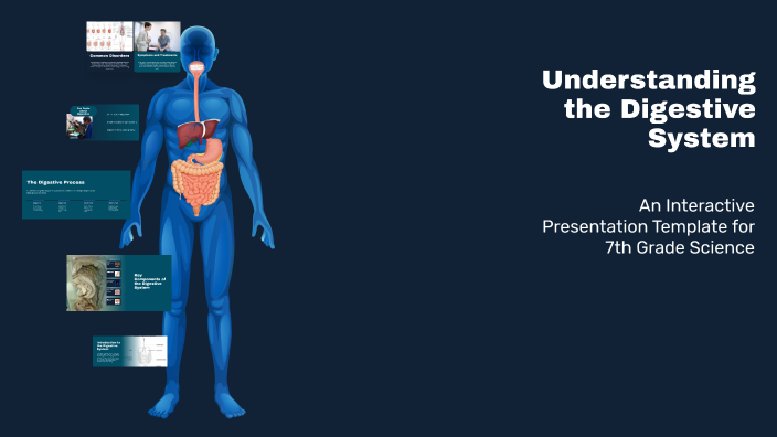 Understanding the Digestive System by Rebecca Tessarolo on Prezi
