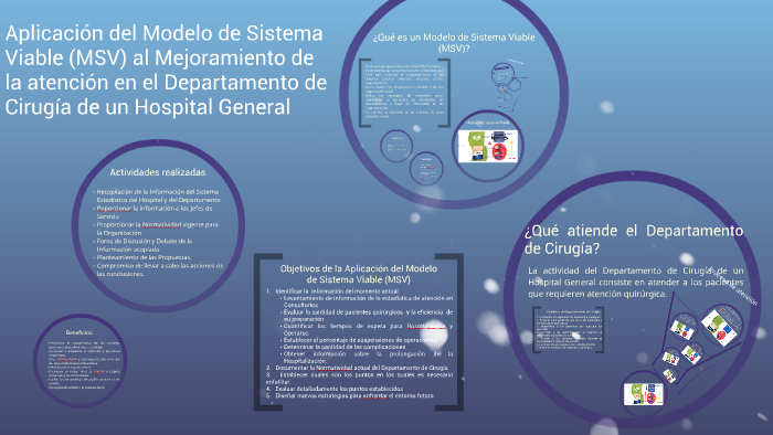 Aplicación del Modelo de Sistema Viable (MSV) en el Departament by Miguel  David Flores Mena on Prezi Next