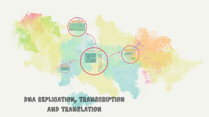 DNA REPLICATION, TRANSCRIPTION AND TRANSLATION by Bryony Price on Prezi