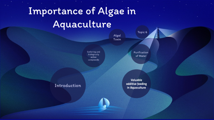 Importance Of Algae In Aquaculture By Jia Liang Tan
