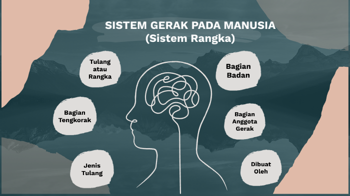 sistem gerak pada manusia by rafael andika on Prezi