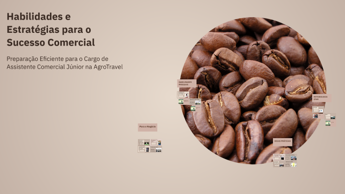 Habilidades e Estratégias para o Sucesso Comercial by Lucas Souza on Prezi