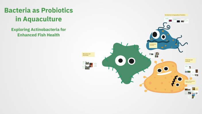 Bacteria as Probiotics in Aquaculture by Karthik M P on Prezi
