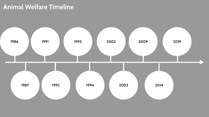 Animal Welfare Timeline By Karyn Bennett On Prezi animal-welfare-timeline-by-karyn-bennett-on-prezi